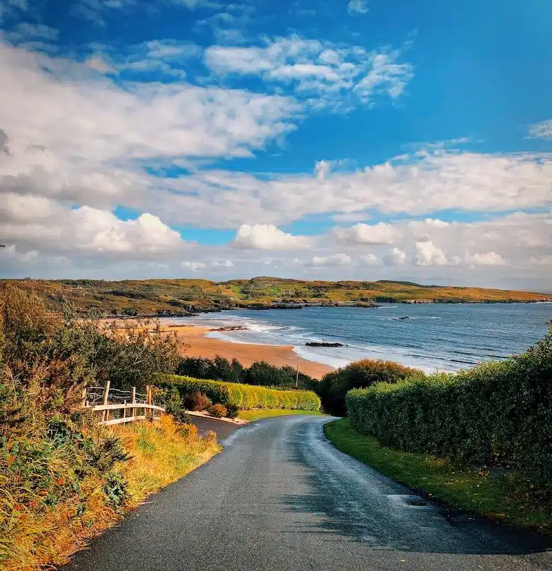 A small road leads down to a beach on a sunny day